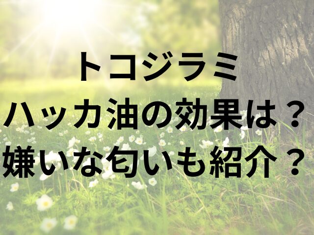 トコジラミハッカ油の効果は？嫌いな匂いも紹介？